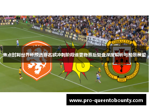 焦点时刻世界杯预选赛名额冲刺阶段谁更稳赛后复盘深度解析与前景展望