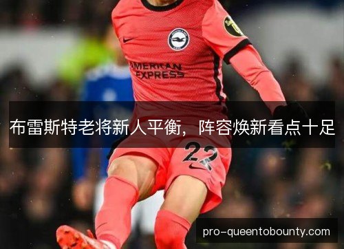 布雷斯特老将新人平衡，阵容焕新看点十足